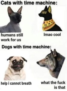Stupid Bar Memes azxnBqNss