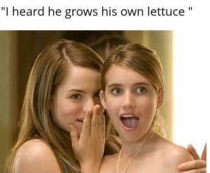 Stupid Bar Memes b16fb23