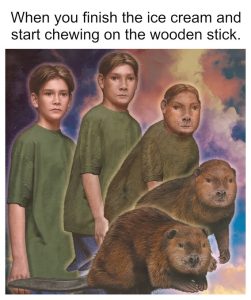 Stupid Bar Memes b417bdde