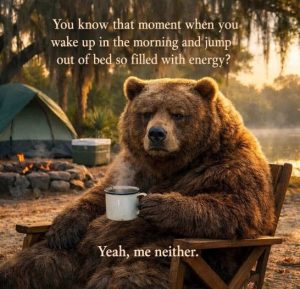 Stupid Bar Memes beanergy