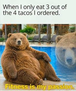 Stupid Bar Memes bearsfitne