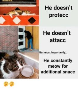 Stupid Bar Memes c65a250