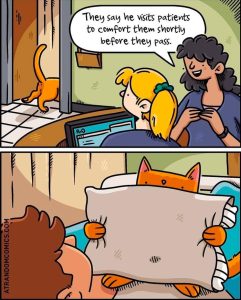 Stupid Bar Memes d7cdf71