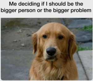 Stupid Bar Memes decidioblem