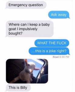 Stupid Bar Memes ed0a0f0644fc3