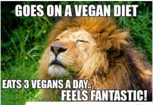 Stupid Bar Memes lionsgo3sp