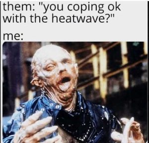 Stupid Bar Memes mescoear