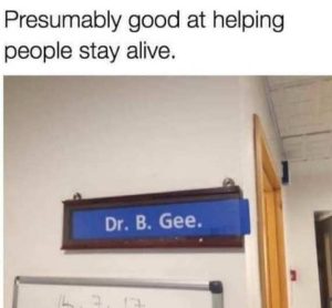 Stupid Bar Memes signalive