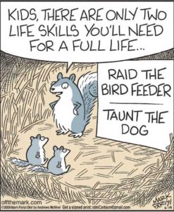 Stupid Bar Memes squirrelssr