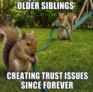 Stupid Bar Memes squirrsues