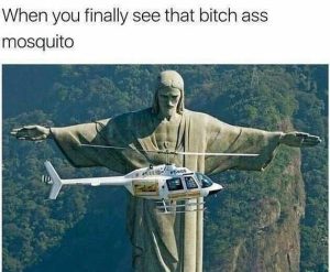 Stupid Bar Memes statuosqu