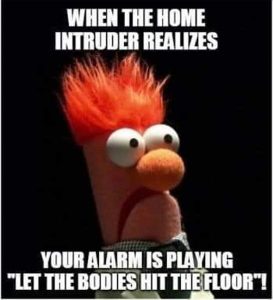 Stupid Bar Memes wheodie