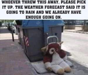 Stupid Bar Memes whoeorec