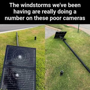 Stupid Bar Memes windstnocked