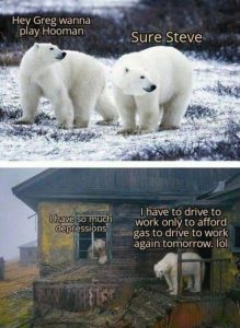 Stupid Bar Memes 1db2b36a25aa8