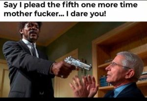 Stupid Bar Memes 3158ced61329