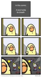 Stupid Bar Memes 5350f5d5