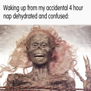Stupid Bar Memes 7560745