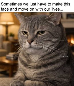 Stupid Bar Memes 75816