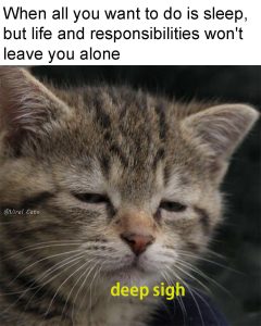 Stupid Bar Memes 760793081