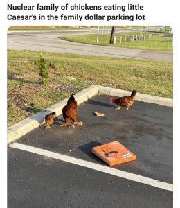 Stupid Bar Memes a1mG0rPss