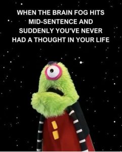 Stupid Bar Memes a34V6xess