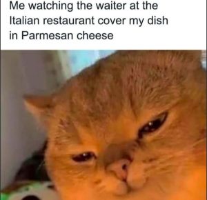 Stupid Bar Memes a5Qmp2qss