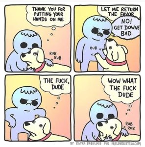 Stupid Bar Memes a90195b8fe