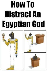 Stupid Bar Memes a9y9g2Kss