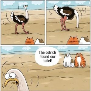 Stupid Bar Memes acd5e98d2