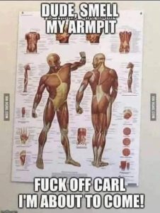 Stupid Bar Memes b7f590344a