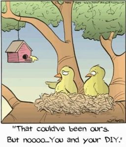 Stupid Bar Memes birdsbi