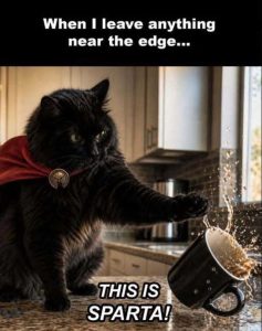 Stupid Bar Memes cagesof