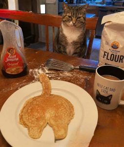 Stupid Bar Memes catakes