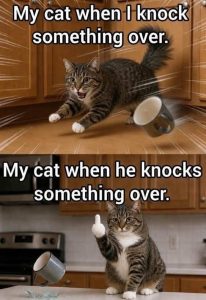 Stupid Bar Memes catsruinethi