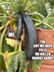 Stupid Bar Memes cb77cde1a