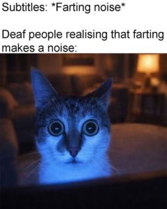 Stupid Bar Memes e99a52a0c81
