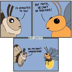Stupid Bar Memes ed91f17695