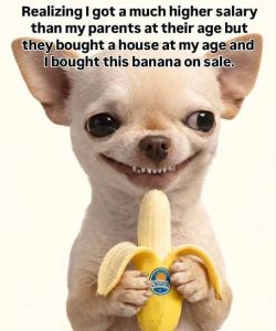 Stupid Bar Memes higntssthey