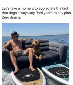 Stupid Bar Memes mome7u77