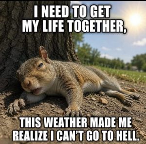 Stupid Bar Memes needsgscant