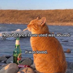Stupid Bar Memes nossuedslov