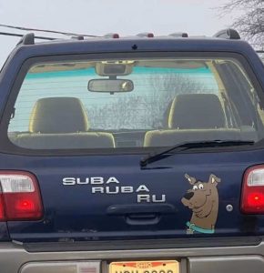 Stupid Bar Memes scoobysump