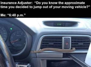 Stupid Bar Memes snakehic