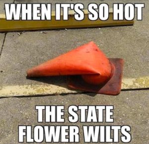 Stupid Bar Memes soshotssoadsc